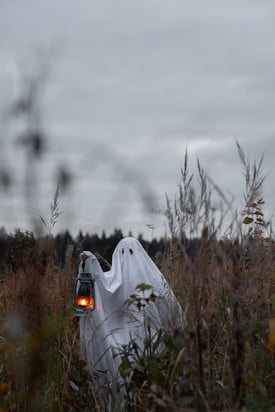 person in ghost costume walking in field